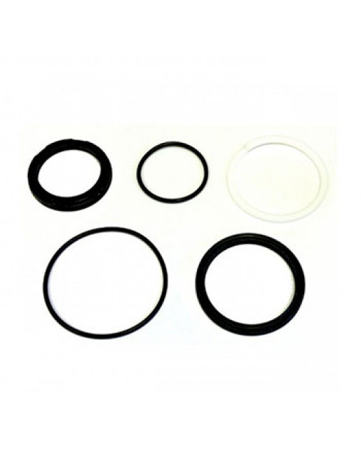DT Swiss AIRCHAMBER SEAL KIT M212/X313